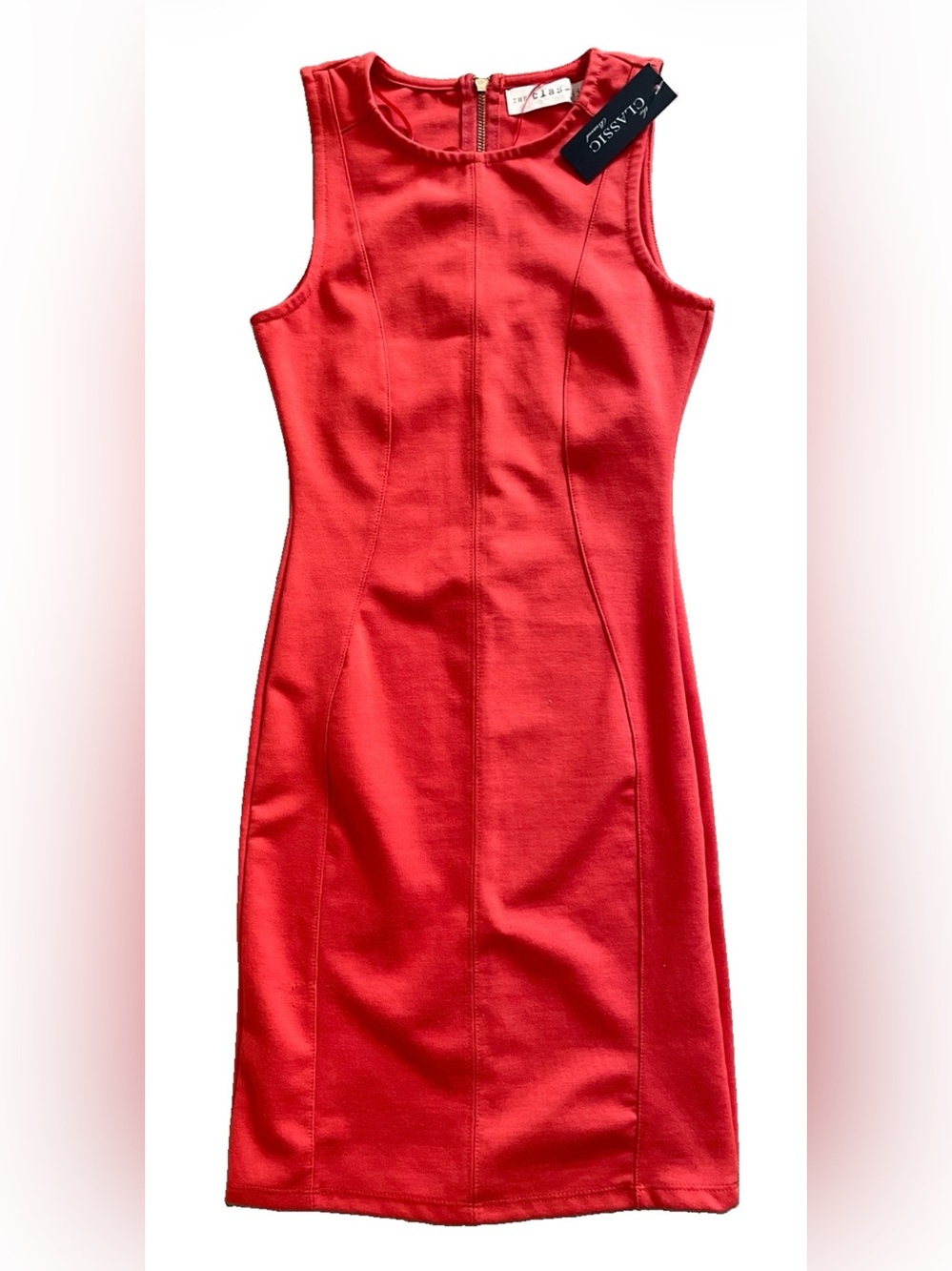 THE CLASSIC Chic NWT DRESS Size Small